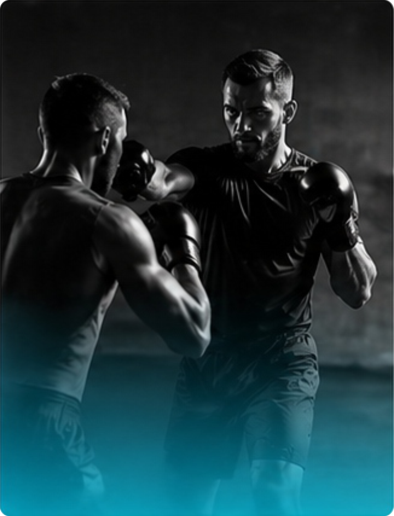 Scuola di arti marziali / Sport da combattimento